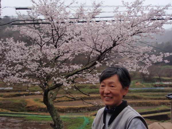 たけべの桜