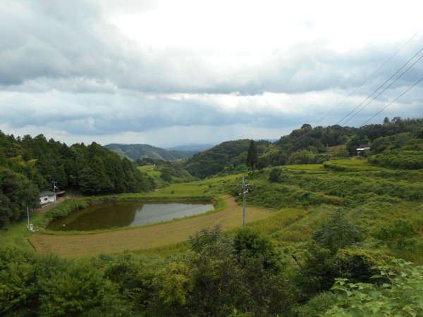 建部暑中お見舞い