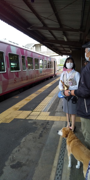 サクビサクラ歓迎80日を振り返る