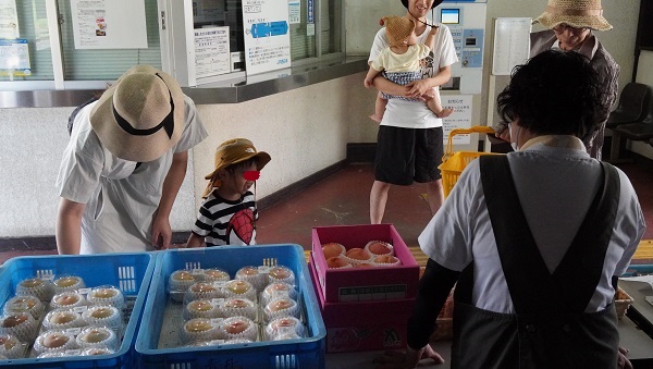 サクビサクラ歓迎80日を振り返る