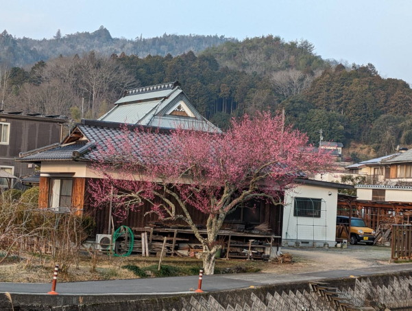 建部新聞/今月のニュース