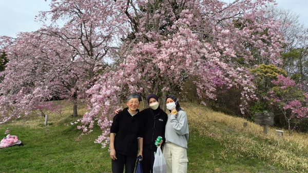 はっぽね桜まつり