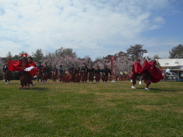はっぽね桜まつり