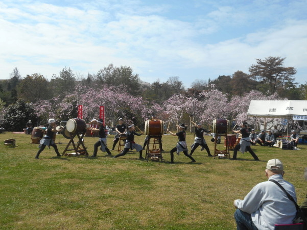はっぽね桜まつり
