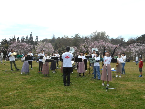 はっぽね桜まつり