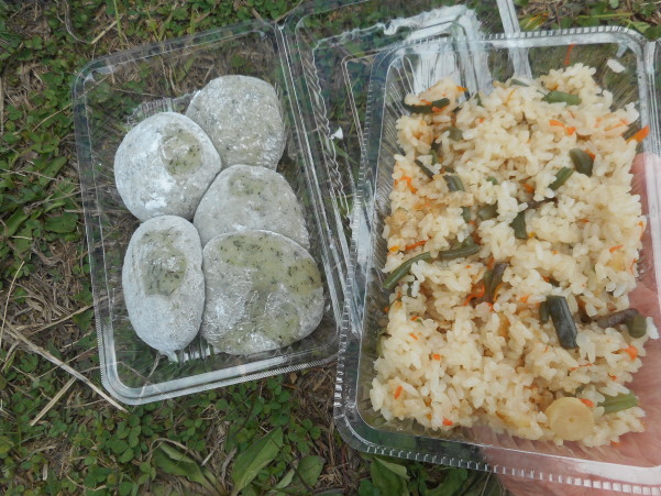 はっぽね桜まつり