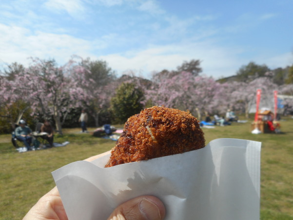 はっぽね桜まつり