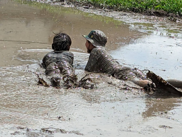 田植えに梅獲り