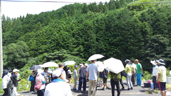 サマースクール