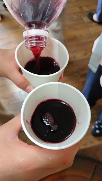 サマースクール