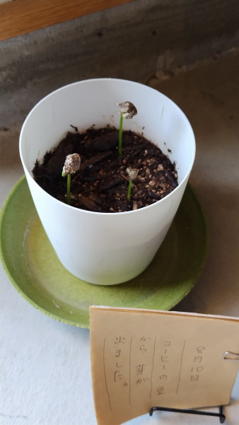 フィールドワークin福渡