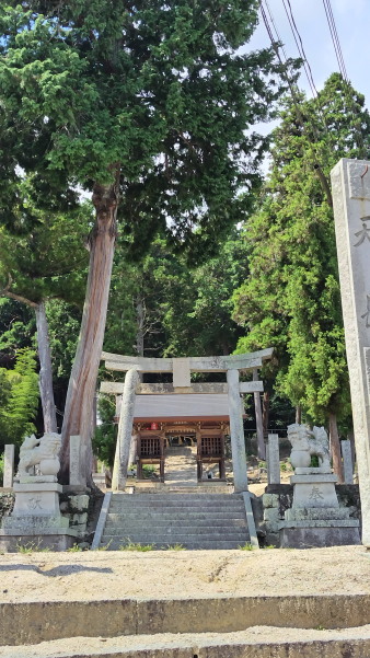 フィールドワークin福渡