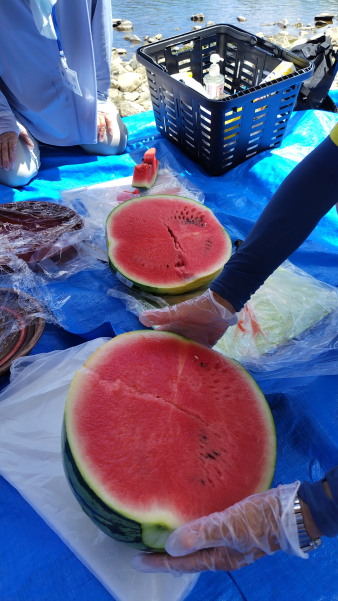 サマースクール1