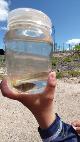 サマースクール1