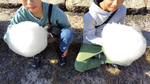 �����Ձ��}���V�F